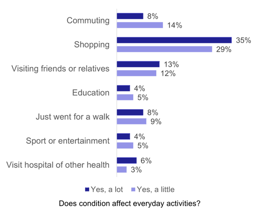 Figure 10: Purpose of journey, as described above