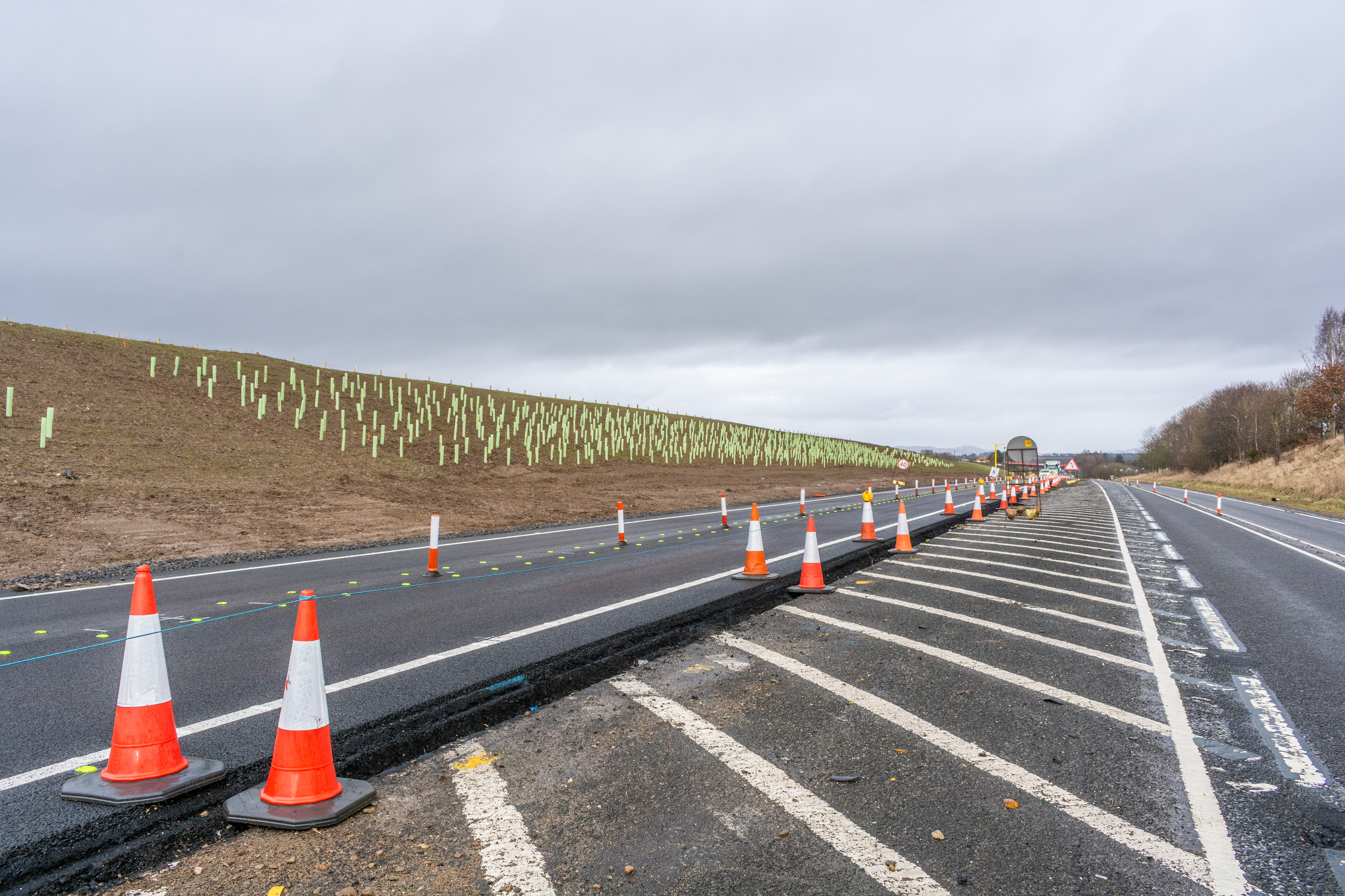 Newly opened road with planting in sight