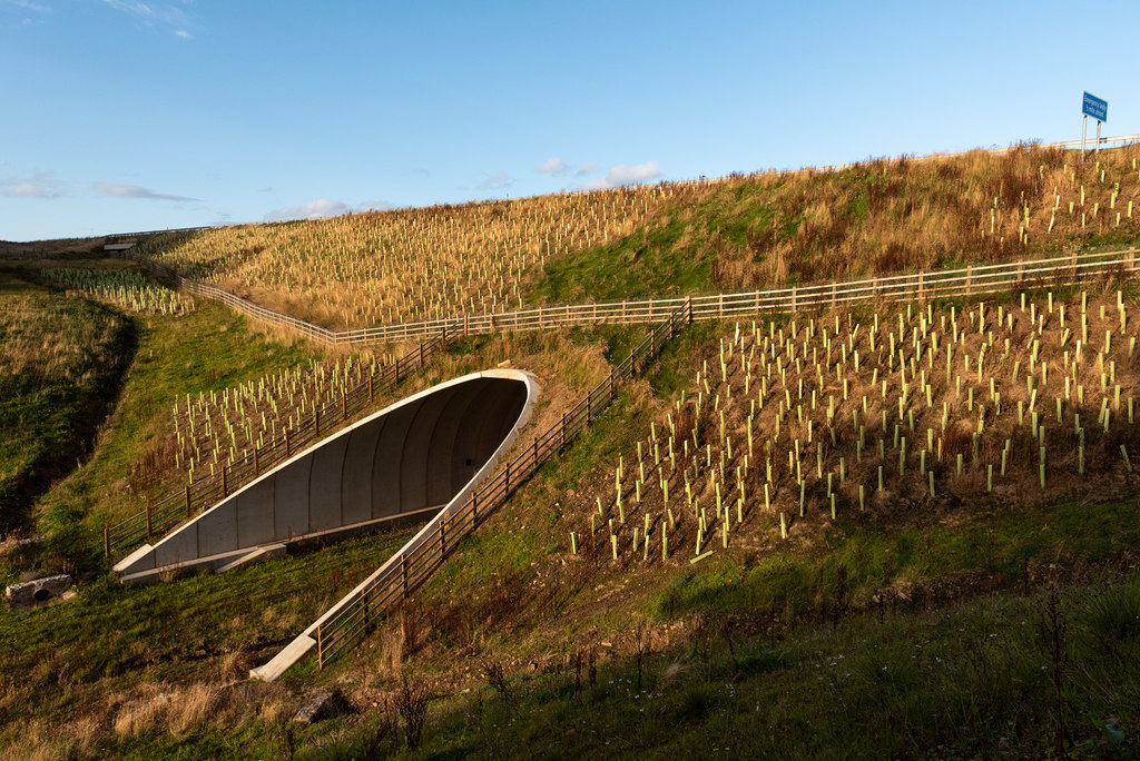 BEBO Arch Bridge (AWPR)