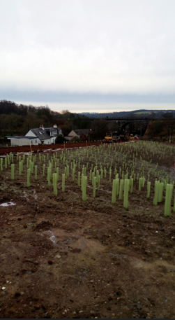 Landscaping at Pitlandie