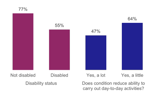 Figure 19: Driving licence possession, as described above